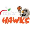 bay hawks betsapi